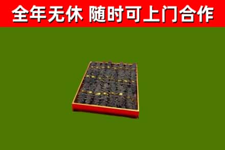 谢家集回收海参
